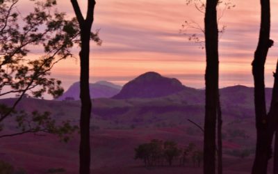 The Best Summer Spots in the Scenic Rim!